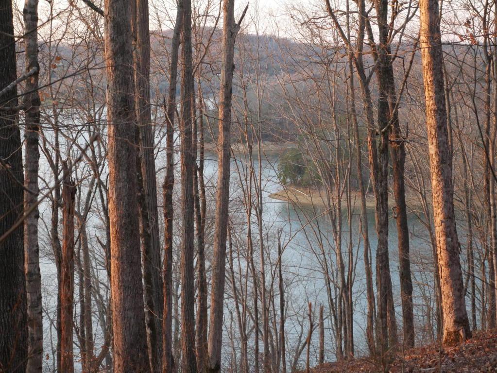 Tumbling Run Estates - Photo 1