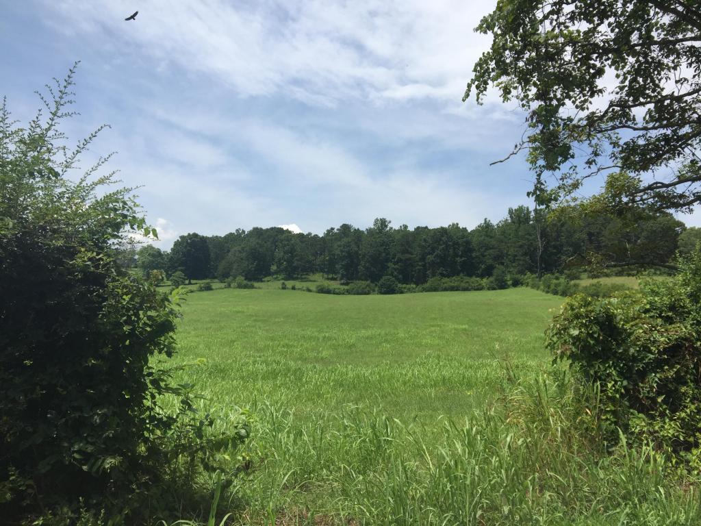 0Ak Grove Rd - Photo 1