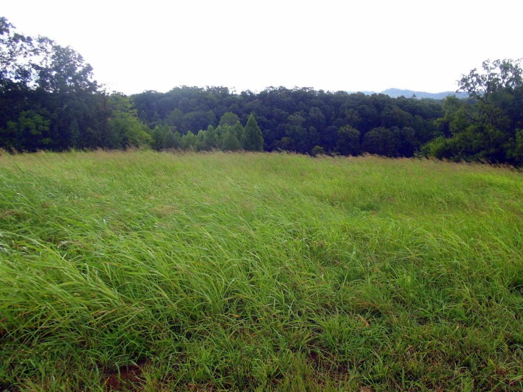 High Ridge Rd - Photo 1