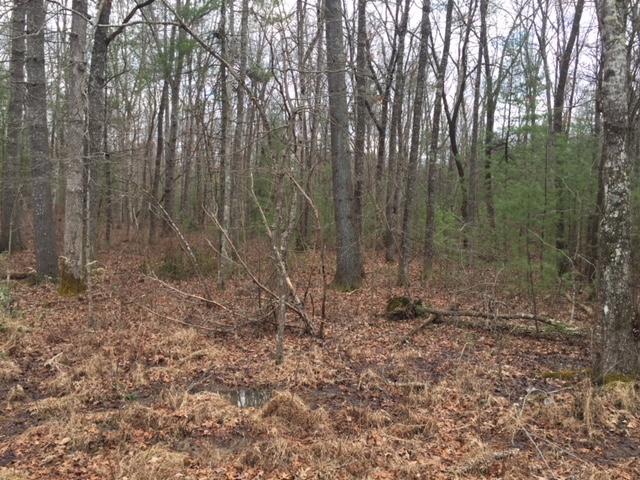 Brown Creek Drive - Photo 1