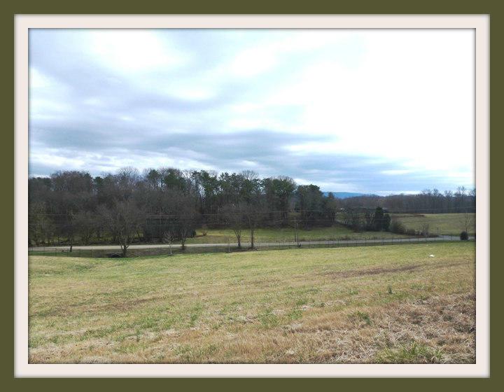 Lot 76 Cascading Falls Lane - Photo 1