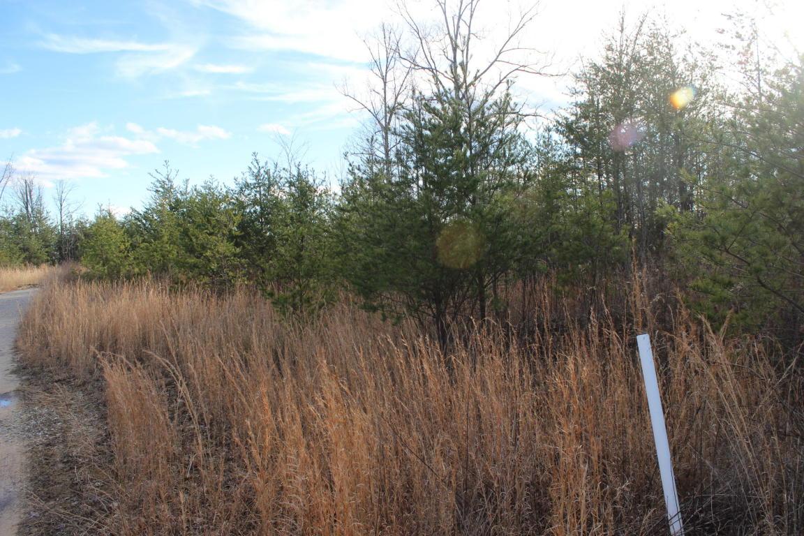 Mountain Laurel Lane - Photo 1