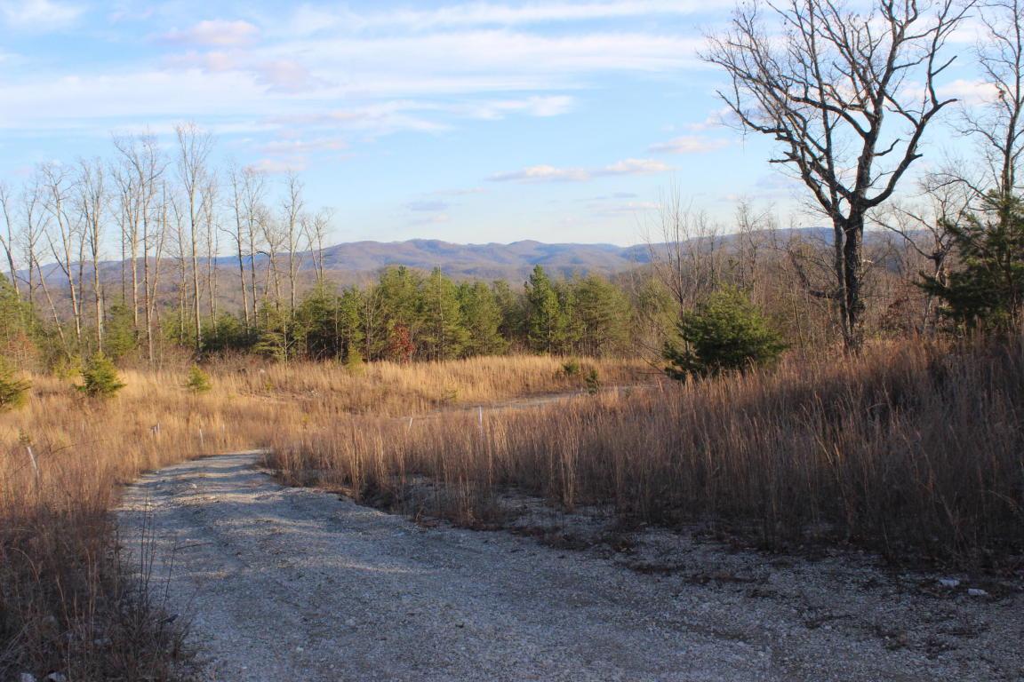 Silver Bell Lane - Photo 1