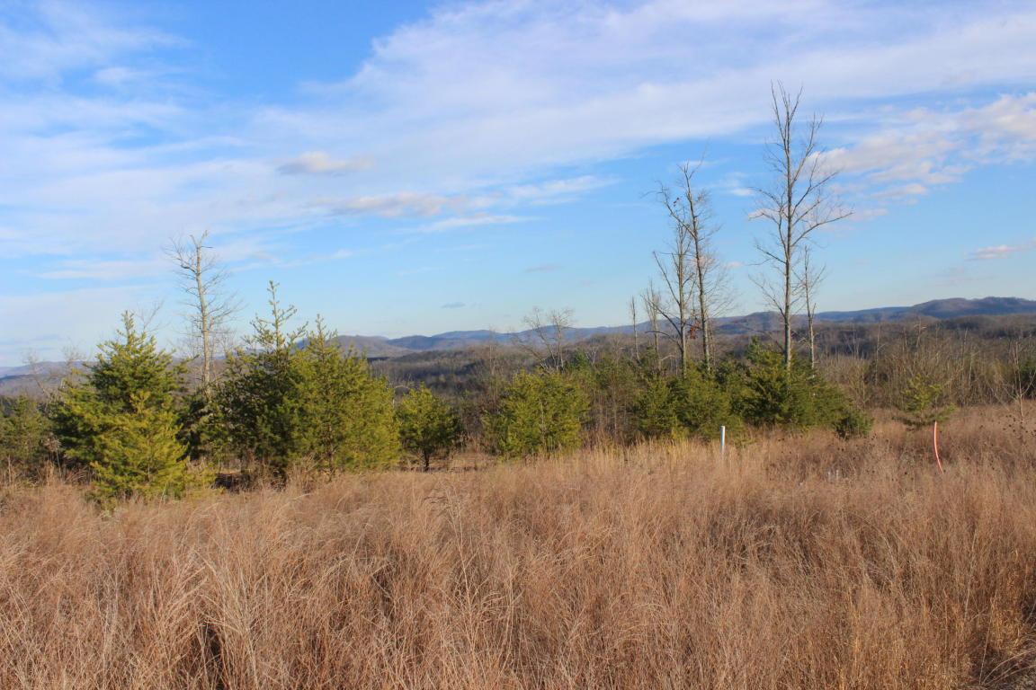 Larkspur Tr - Photo 1