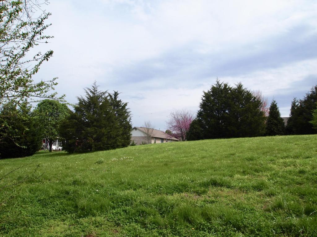 1709 Pittman Center Rd - Photo 1