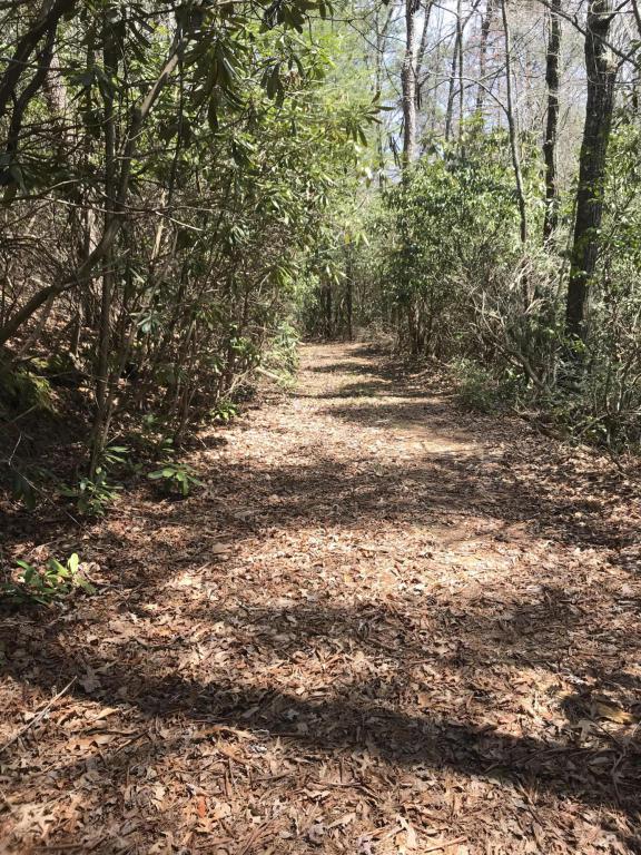 Barney Creek Rd - Photo 1