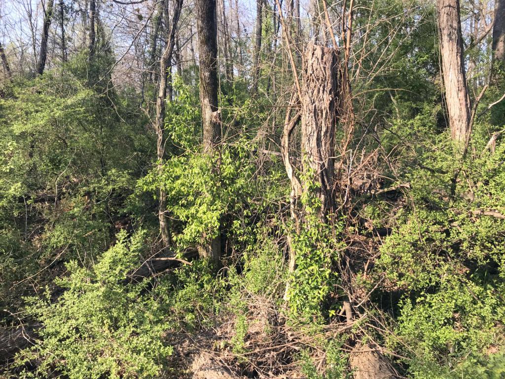 W Crestview Drive - Photo 1