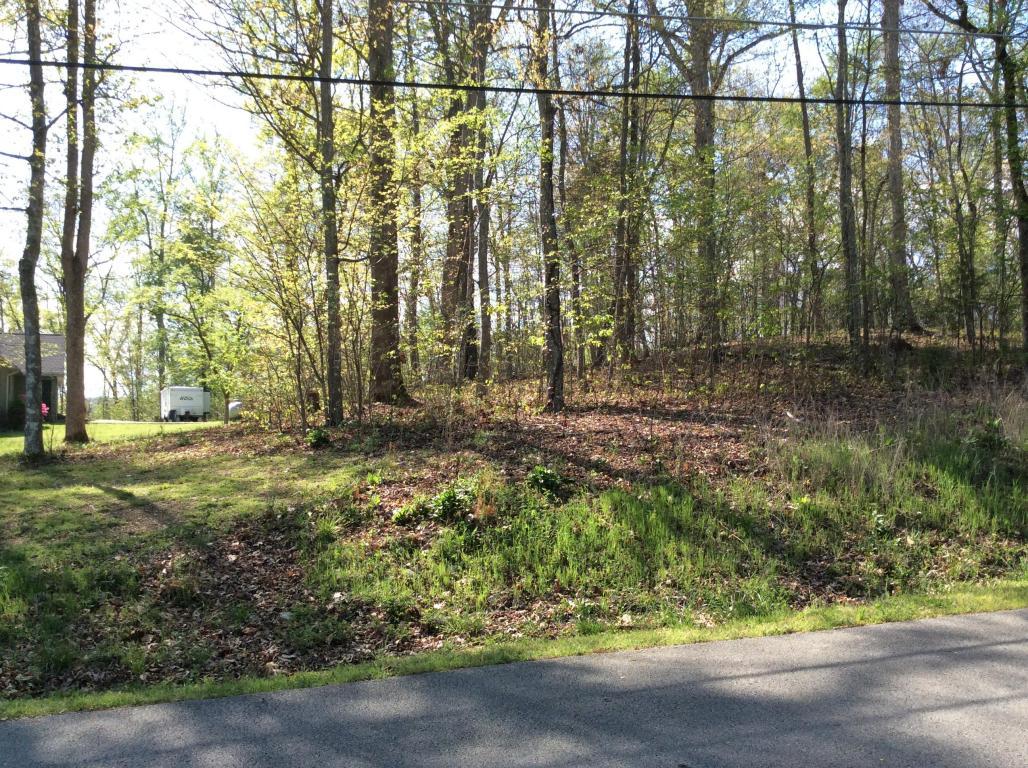 Pin Oak Rd, Lot 46 - Photo 1