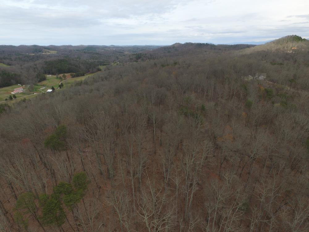 0 Laurel Branch Rd - Photo 1