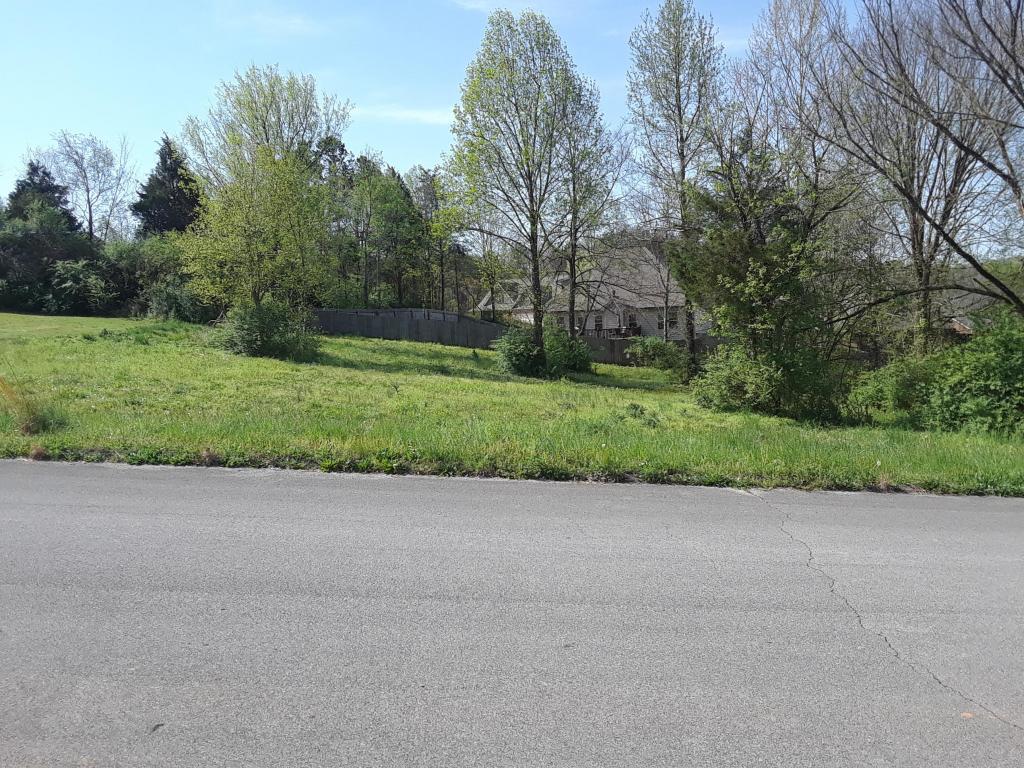 Lot 28 Sharp Drive - Photo 1