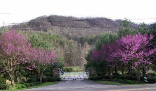 Walden Cove Way - Photo 1