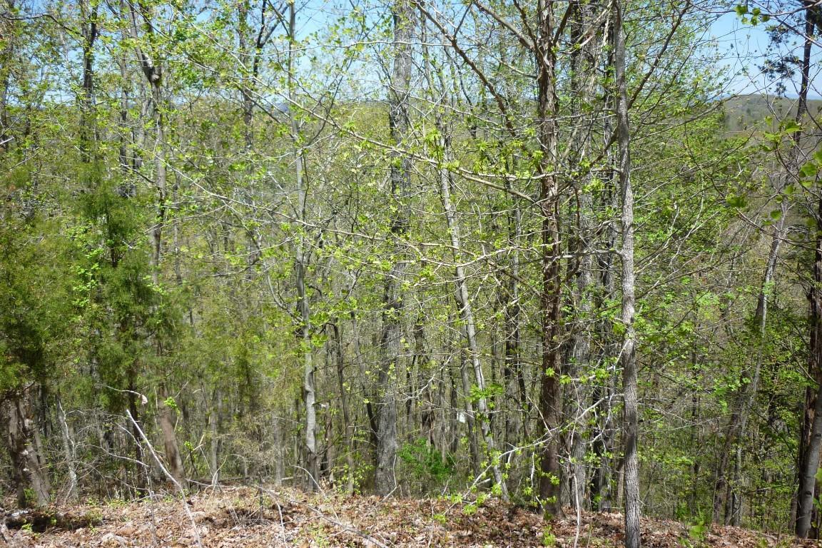 Lot 38 Eerie Point - Photo 1