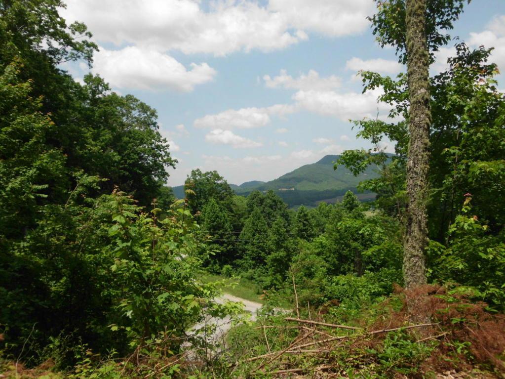 Bullet Mountain Drive - Photo 1