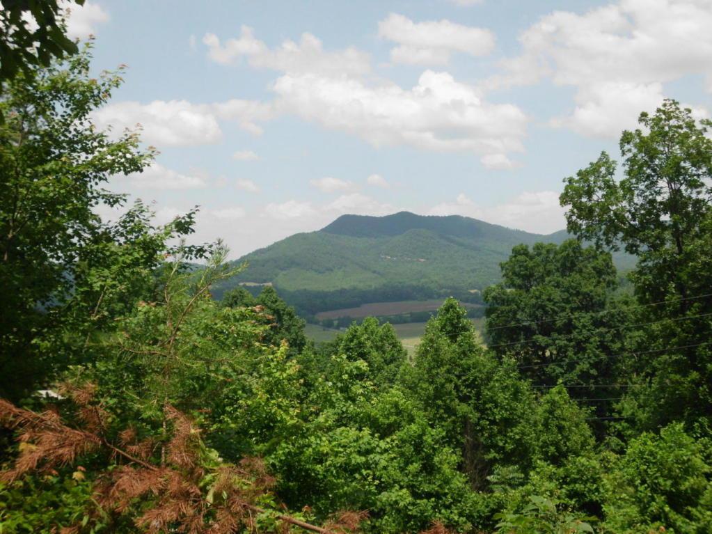 Bullet Mountain Drive - Photo 1