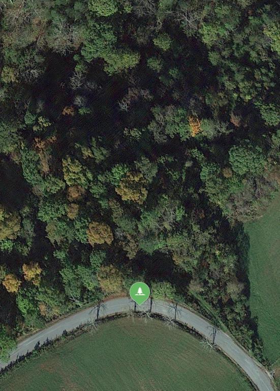 Goins Chapel Rd Rd - Photo 1