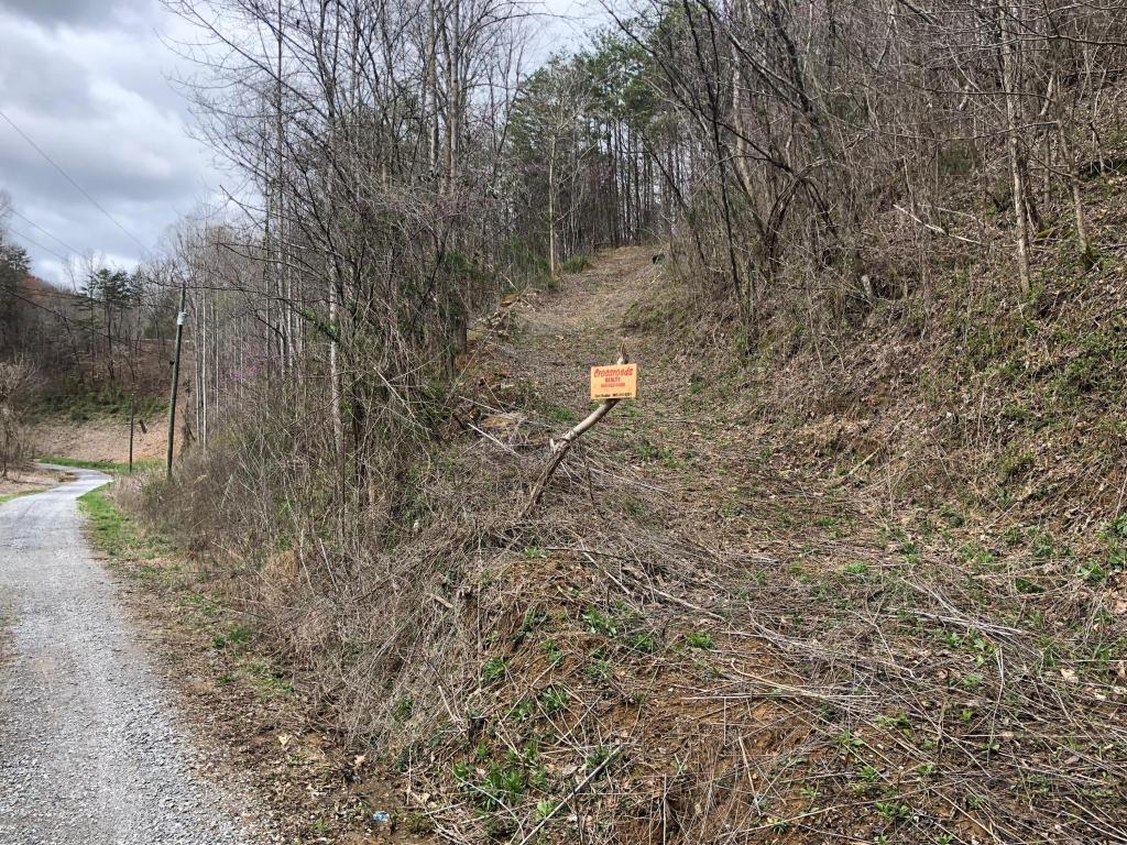 Bear Hollow Way Way - Photo 1