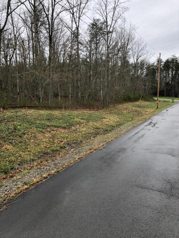Browntown Rd - Photo 1