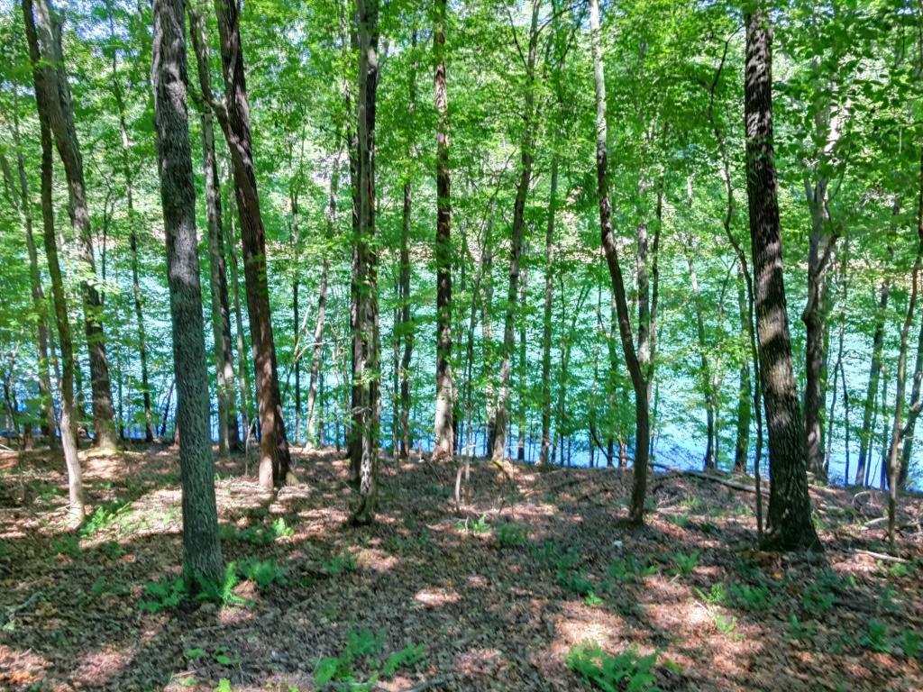Deer Run Point - Photo 1