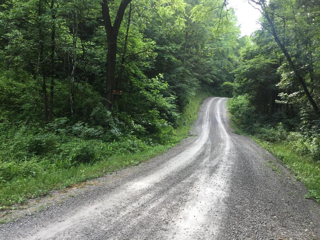 Primroy Rd - Photo 1