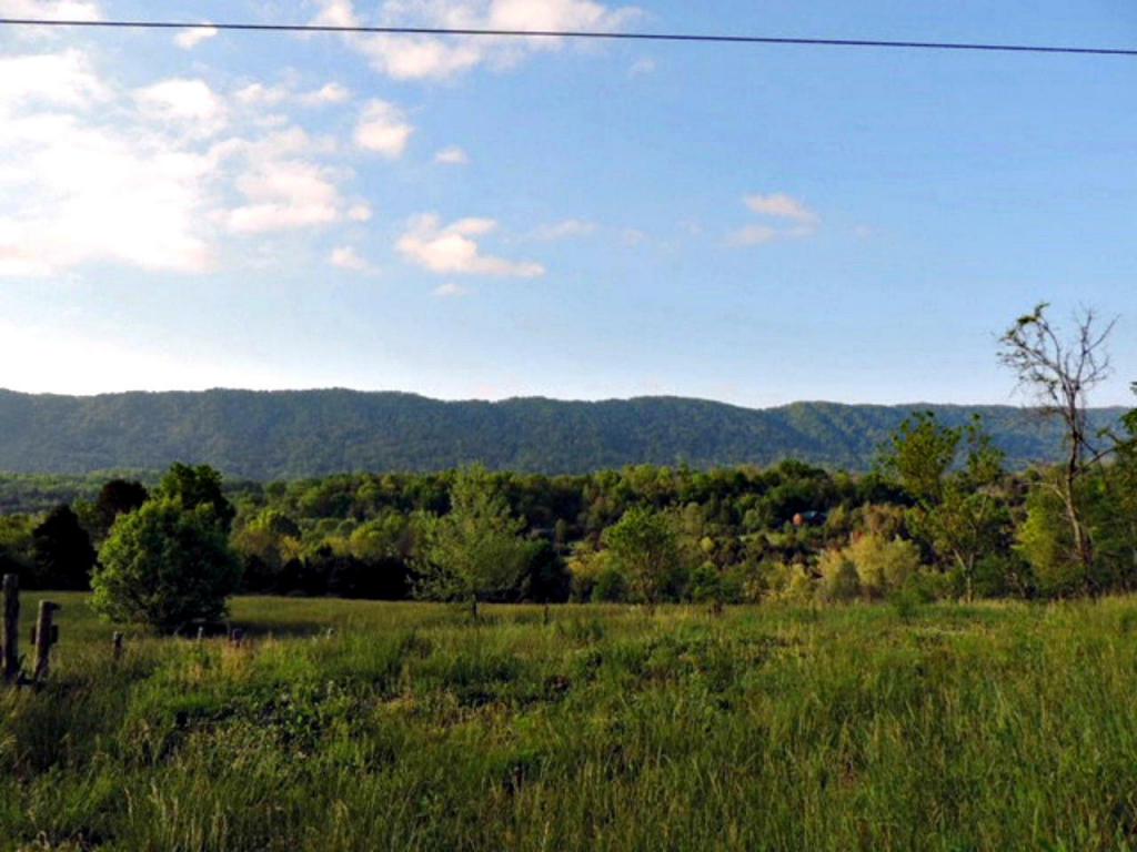 2575 Rackum Rd - Photo 1