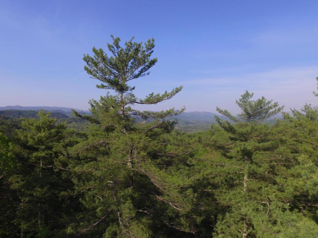 Lot 20 Slate Quarry Rd - Photo 1