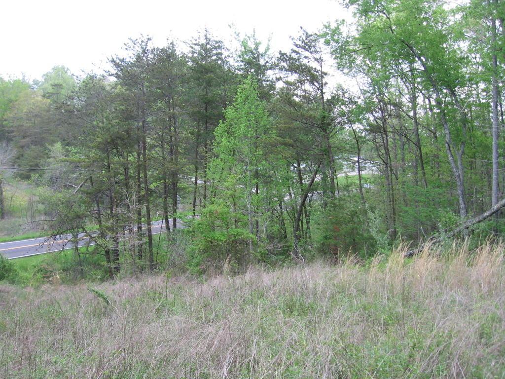 1380 Old Deer Lodge Pike - Photo 1