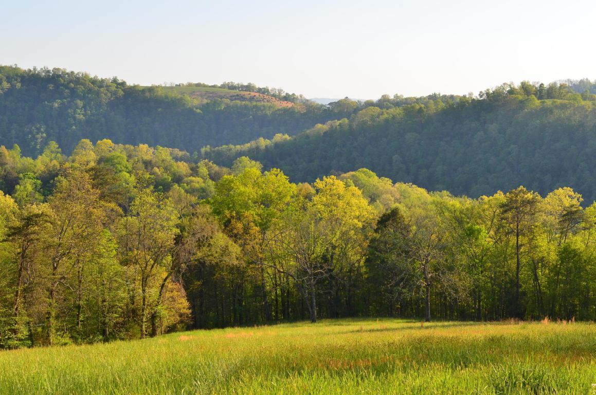 105 Acres Little Caney Valley Rd - Photo 1