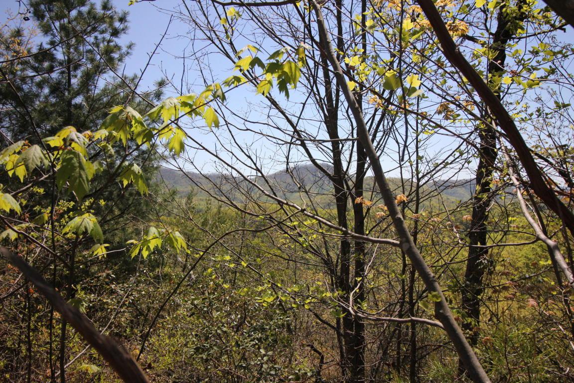 Settlers View Lane - Photo 1