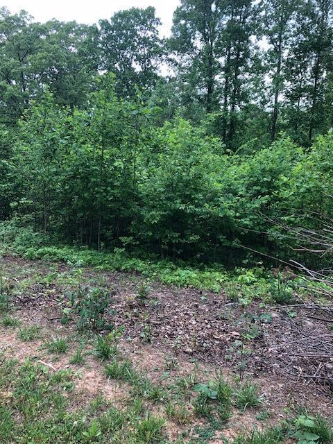 Lot 3 Loudon Circle - Photo 1