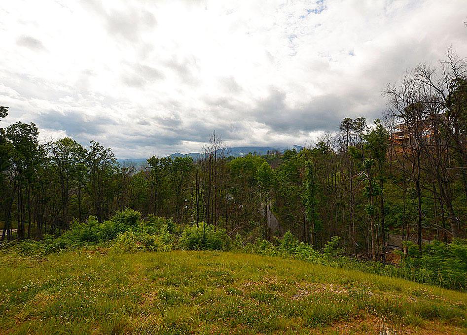 944 Chestnut Drive - Photo 1