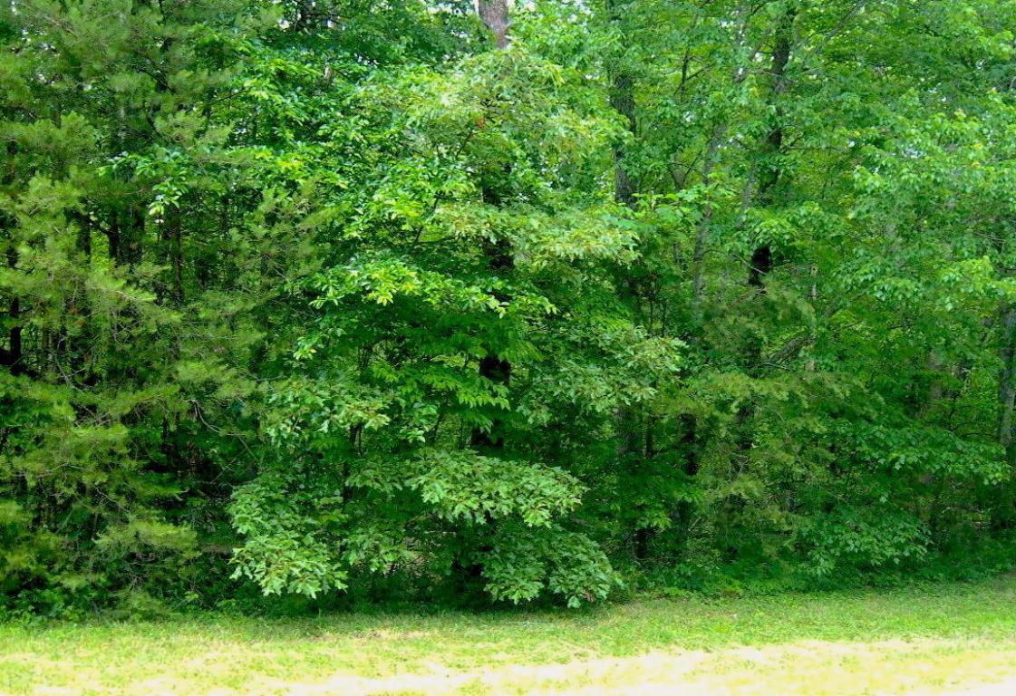 Cowpens Drive - Photo 1