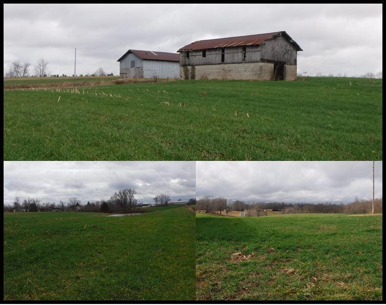 31.80ac. Bakerton Road - Photo 1