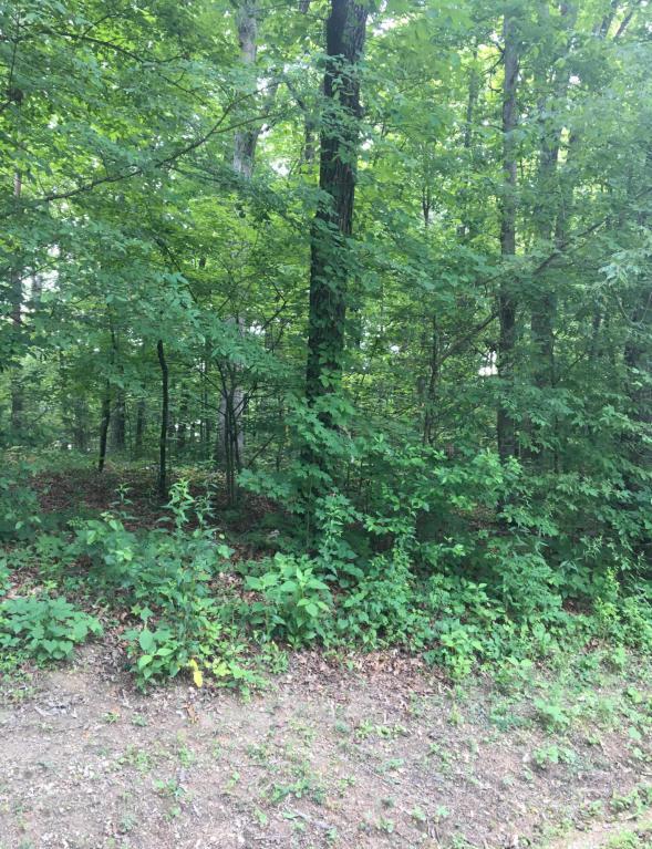 215 Choowa Trace - Photo 1