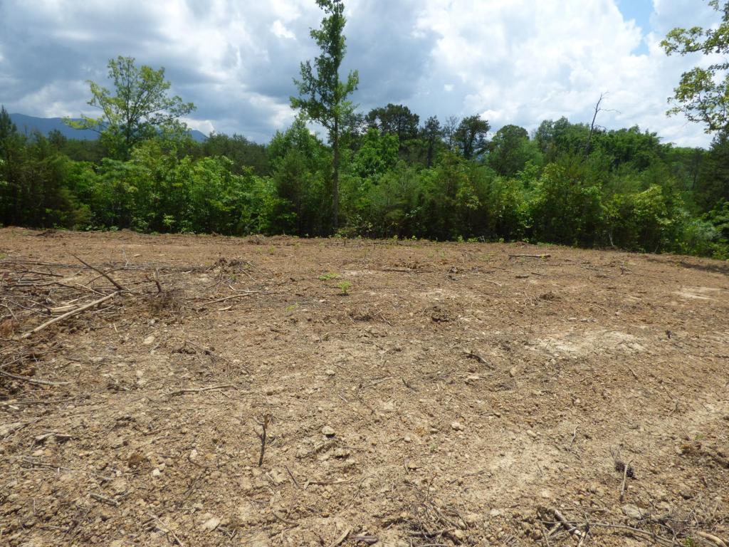 Lot 2a Martin Court - Photo 1
