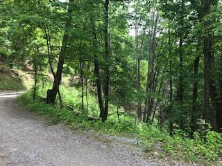 Lot# 28 Sourwood Way - Photo 1