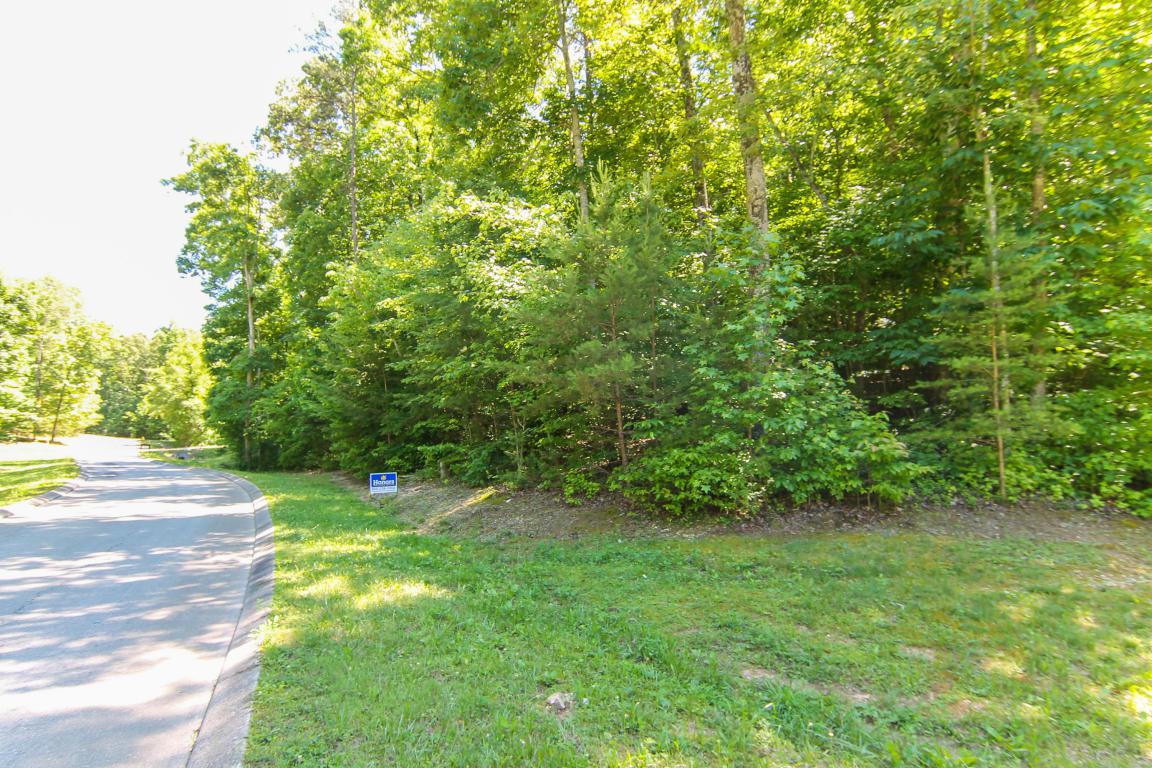Oak Terrace Cove - Photo 1