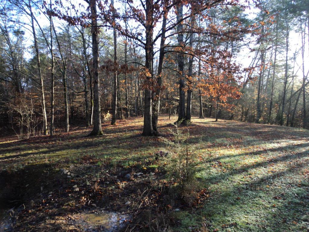Kodak Rd - Photo 1