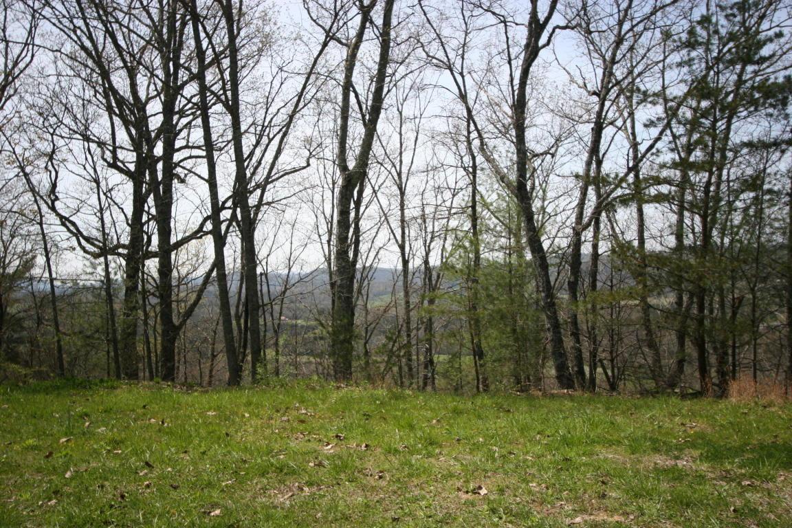 Lot # 18 Highlands Bluff - Photo 1