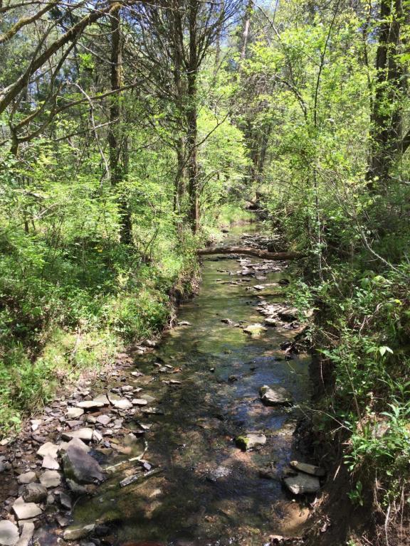 Gadson Lane - Photo 1