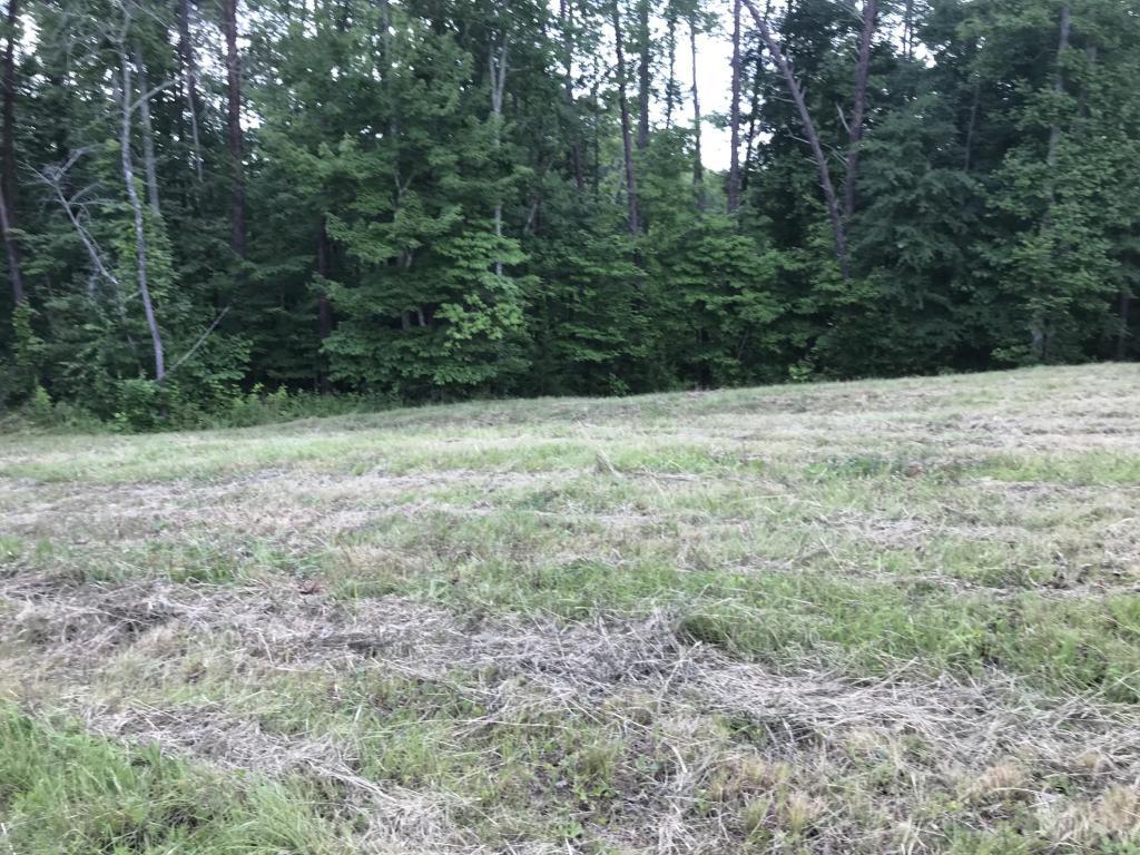 Mt Vista Drive - Photo 1