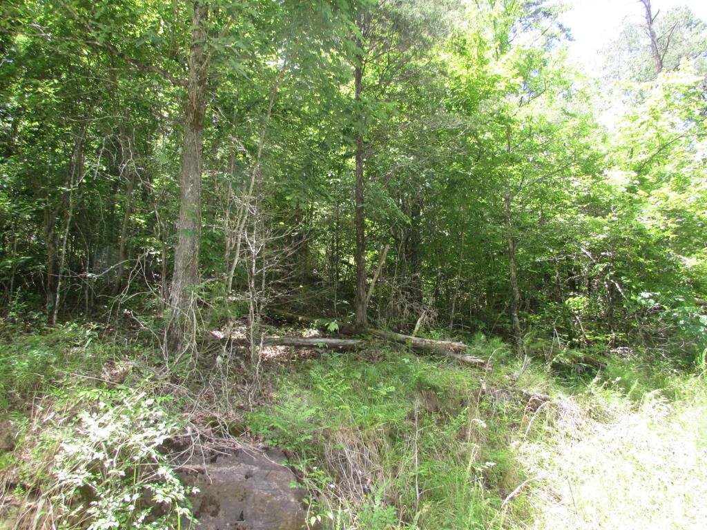 Lot 16 Harris Branch Rd - Photo 1