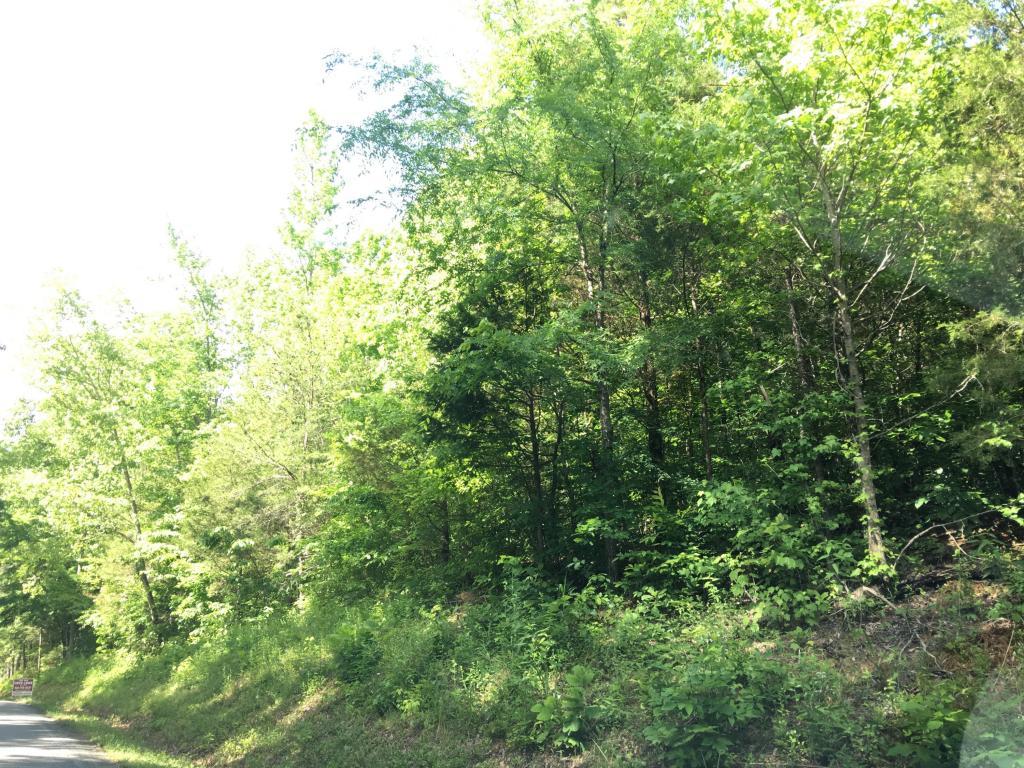 20 +/- Ac Co Rd 188 - Photo 1