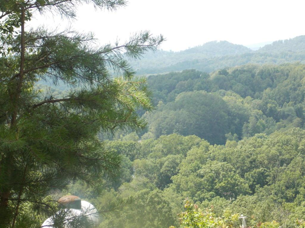 Laurel Mtn. Rd - Photo 1
