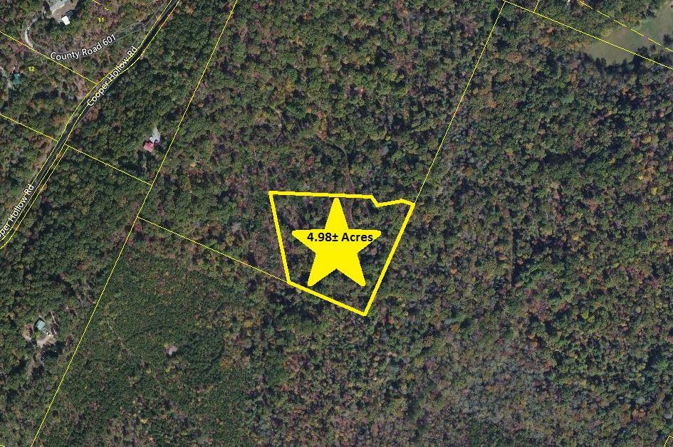 500 Cooper Hollow Rd - Photo 1