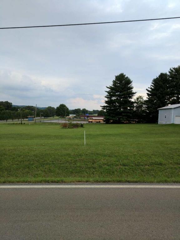 Lot 2 Pitner Rd - Photo 1