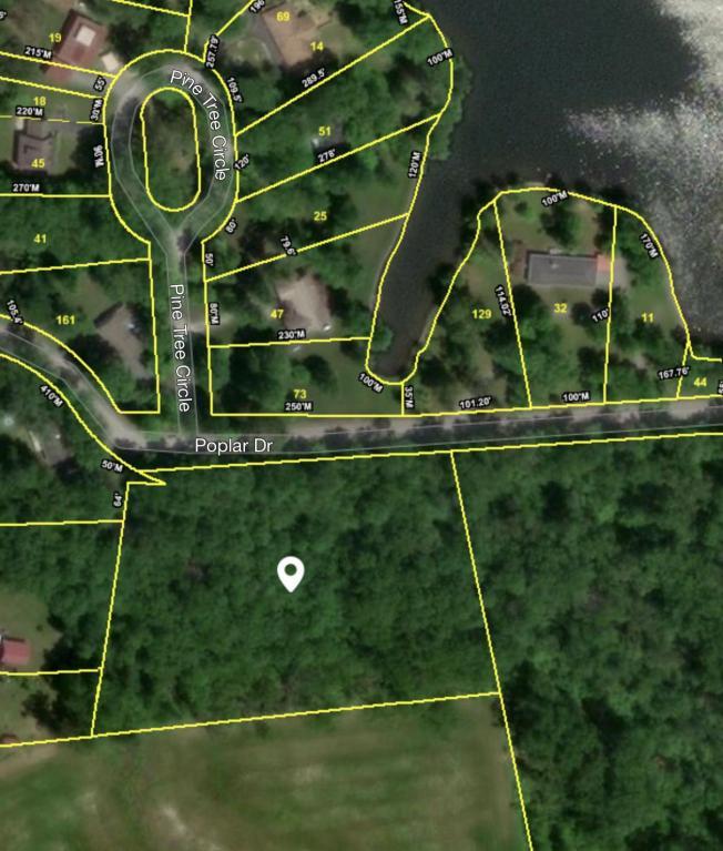 Poplar Drive - Photo 1