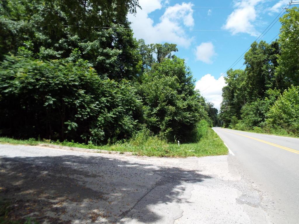 Lot 48 Zuni Way - Photo 1