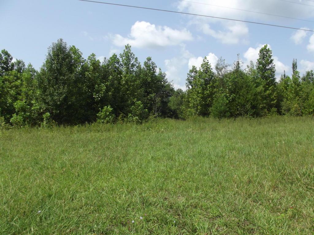 Hwy 68 - Photo 1