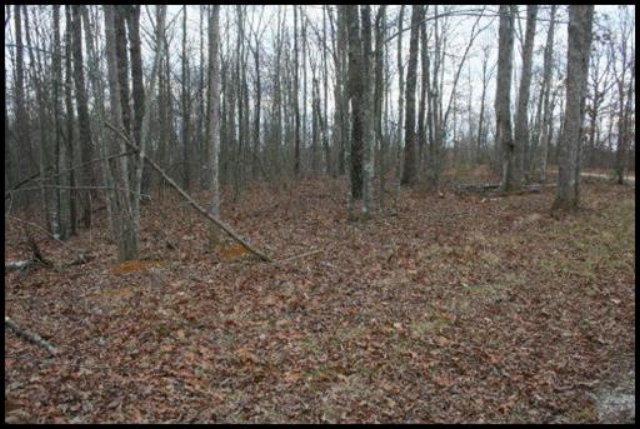 Maple Lane, Lot #273 - Photo 1