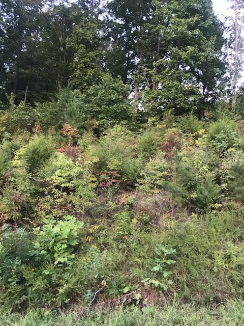 Saddleridge Dr. - Photo 1